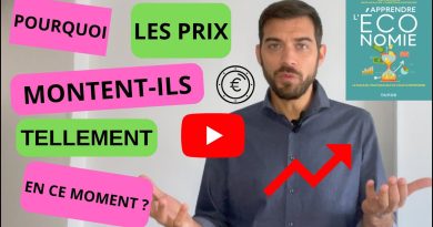 Inflation en France : Comprendre la hausse des prix actuelle