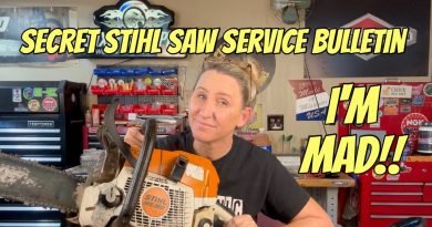 Info Cruciale : Ce Secret Peut Ruiner Votre Tronçonneuse !