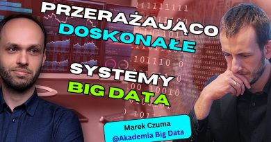 Ingénieur Data vs IA : Big Data, sécurité et vie privée