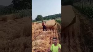 Innovation en agriculture : Outils et machines de demain