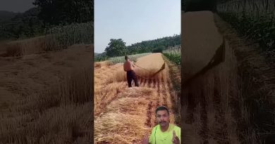 Innovation en agriculture : Outils et machines de demain