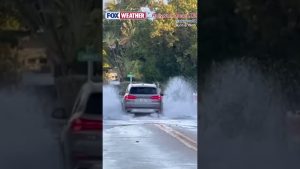 Inondations causées par les grandes marées dans le Sud-Est