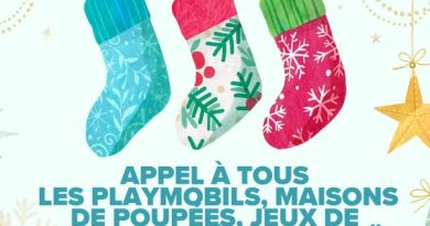 Install'Toit : Solutions innovantes pour la pose de toits écologiques et durables