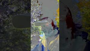 Installation d'un portail de garage : Guide rapide