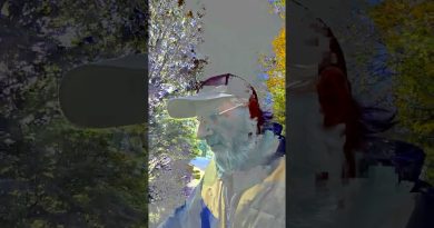 Installation d'un portail de garage : Guide rapide