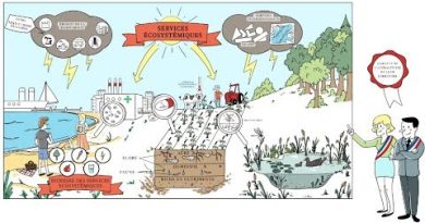 Intégrer les services écosystémiques dans nos décisions ?