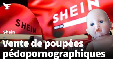 Interdiction de Shein : le gouvernement français réagit à des poupées