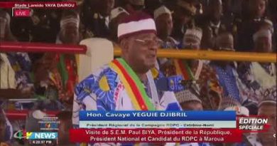 Interprétation des propos du Président de l'Assemblée nationale