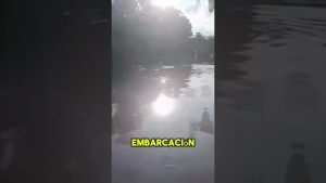 Intervention de la Marine pour sauver des victimes d'inondations à Puebla