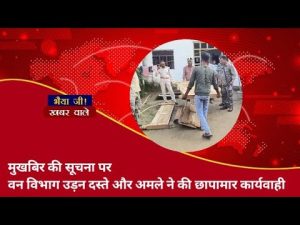 Intervention du département forestier suite à une alerte