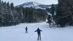 illustration agrandir l