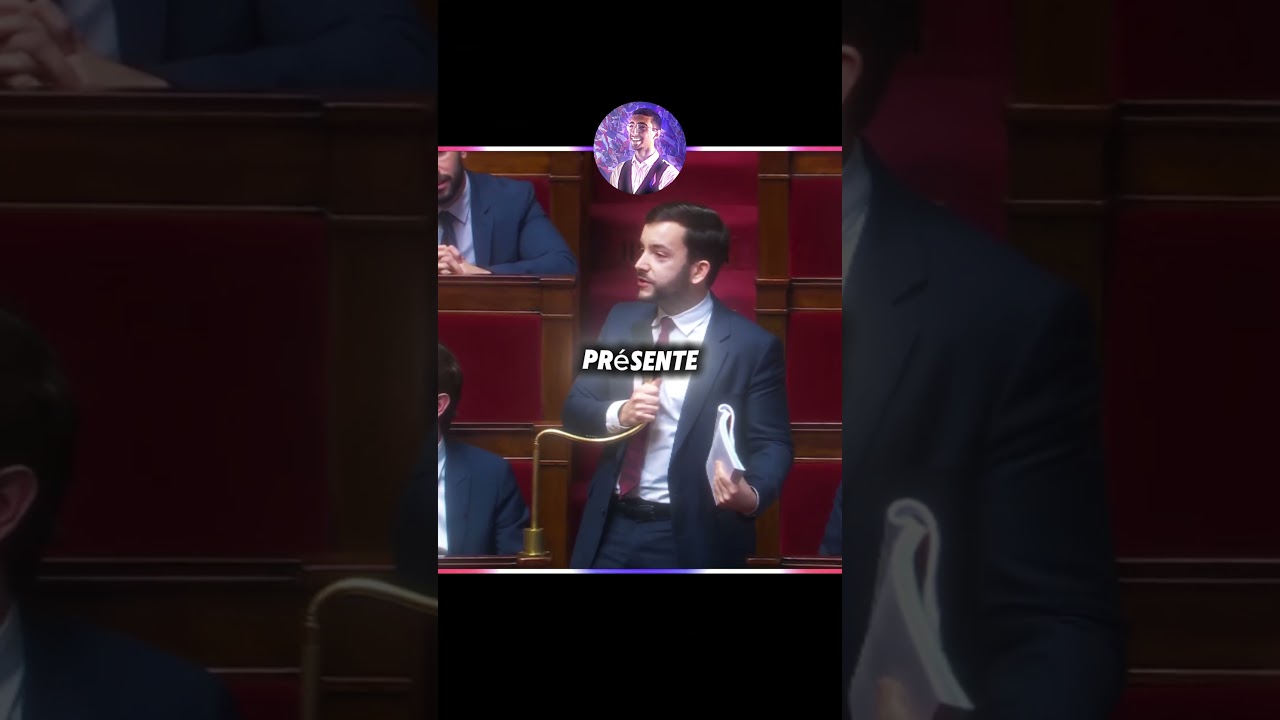 J-P Tanguy met à mal une députée sur la réforme des retraites