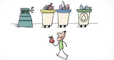 Un enfant s'approche de plusieurs poubelles pour jeter son trognon de pomme. Les poubelles ont des couleurs différentes, cela sert à faire le tri des déchets.