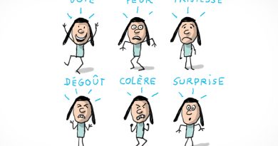 Un enfant exprime des émotions : la joie, la peur, la tristesse, le dégoût, la colère et la surprise.