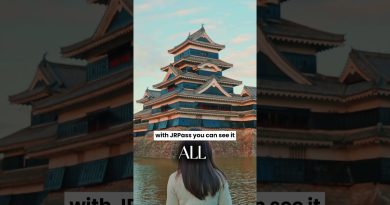 Japon : Chaque Voyage Raconte une Histoire