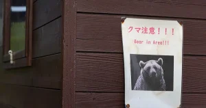 Japon : après l’armée, des policiers retraités à la rescousse contre les attaques d’ours