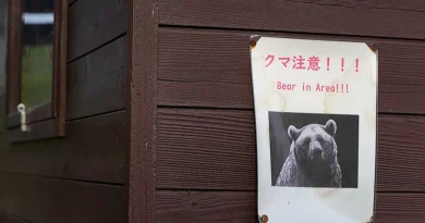 Japon : après l’armée, des policiers retraités à la rescousse contre les attaques d’ours