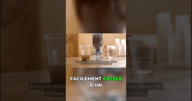 Jardin esthétique et économe en eau avec des plantes résistantes