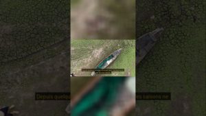 Jardinage express : 60 secondes pour lutter contre le climat