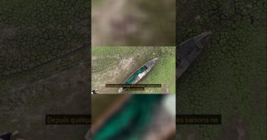 Jardinage express : 60 secondes pour lutter contre le climat