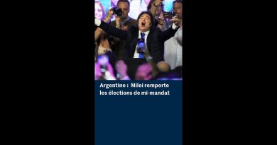 Javier Milei triomphe aux élections de mi-mandat en Argentine