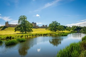 Pays de la Loire, Nantes, Angers, Loire river, castle, vineyard, coast, landscape