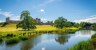 Pays de la Loire, Nantes, Angers, Loire river, castle, vineyard, coast, landscape