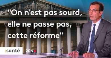 Jean-Pierre Farandou, ministre du Travail, au 20h : Retraites et lois