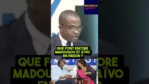 Joêl Aîvo et Reckya Madougou toujours détenus malgré l'ONU