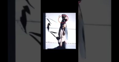 Jungkook en couple : rumeur ou réalité ?