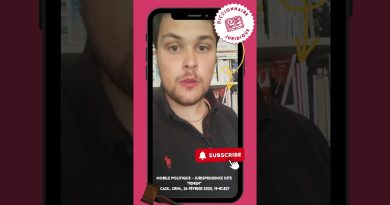 Jurisprudence Femen : enjeux du droit pénal en politique