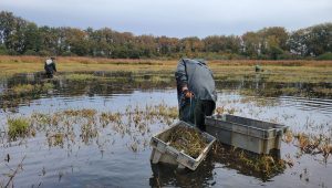 illustration agrandir l