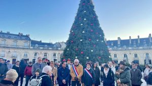 illustration agrandir l