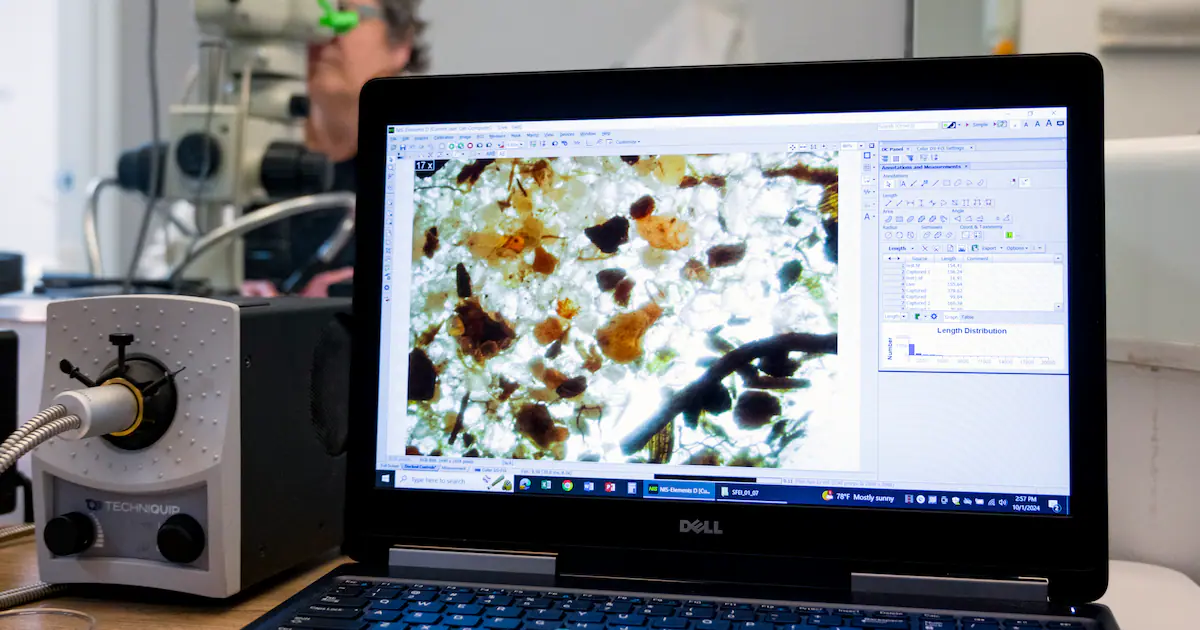 Eau, air intérieur, alimentation : 7 gestes pour réduire l’exposition aux microplastiques