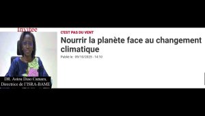 L'Afrique et la sécurité alimentaire face au changement climatique