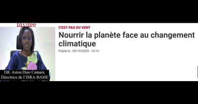L'Afrique et la sécurité alimentaire face au changement climatique