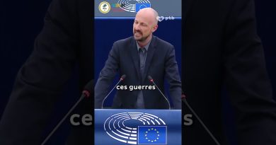 L'Afrique sous l'influence persistante des Européens