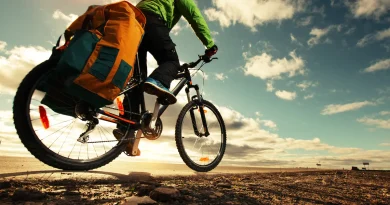 L'Alibi : la communauté émergente dédiée au voyage bas carbone et aux conseils pratiques