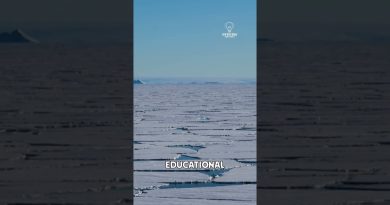 L'Antarctique enregistre sa température la plus élevée !