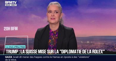 LE CHOIX D'ELSA VIDAL- La Suisse réussit son opération séduction avec Donald Trump