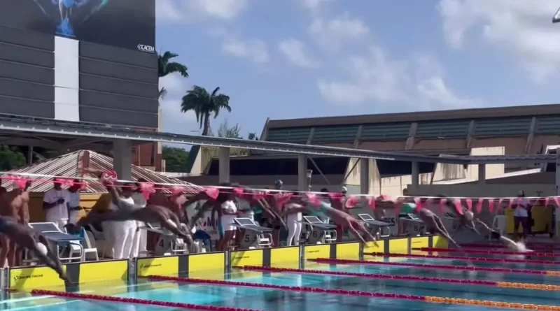 L’Espadon de Fort-de-France et le Longvilliers remportent les Interclubs 2025 de natation