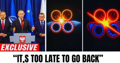 L'IA du CERN a supplié d'arrêter la collision : tout a changé