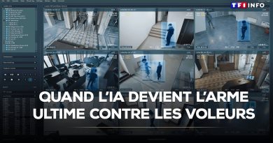 L'IA : l'arme secrète contre le vol | TF1 INFO