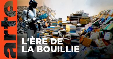 L'IA menace-t-elle l'avenir d'Internet ? | Documentaire ARTE 2025