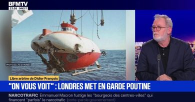 Libre arbitre de Didier François: Londres met en garde Vladimir Poutine