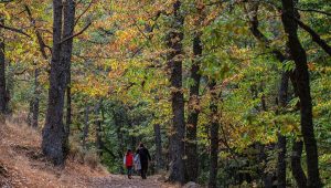 illustration agrandir l