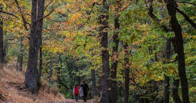 illustration agrandir l