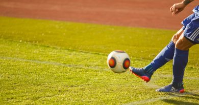 La 11e journée du championnat ukrainien de football (UPL) débute