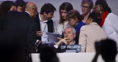 La COP30 se termine sans éclat - Analyse des résultats