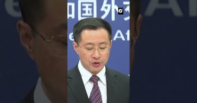 La Chine dénonce le protectionnisme de l'UE